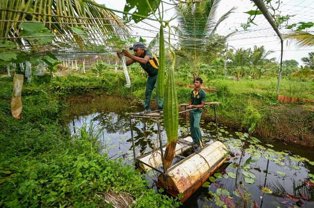 Soldiers are reshaping flood-prone land by digging ponds where rice can be grown or fish raised, with more saline-tolerant coconut trees planted
