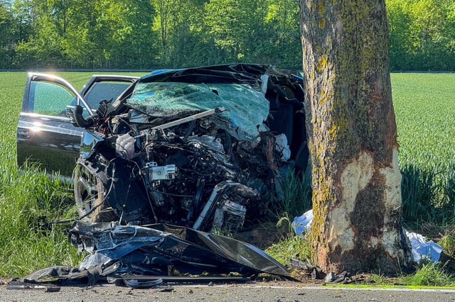Der Autofahrer kam bei dem Unfall ums Leben.