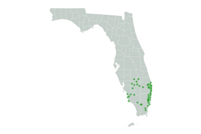 Florida flood watch
