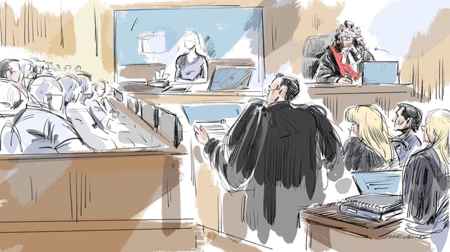 Dan Brown, lawyer for Alex Formenton, questions the 27-year-old woman at the centre of the high-profile world junior sexual assault trial on May 9, 2025.