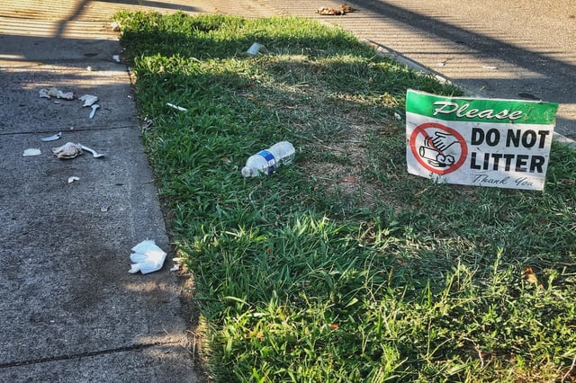 Litter in Queens.