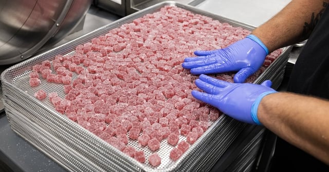 Workers sort strawberry-passionfruit CBD gummies at the Texas Original facility on Sept. 26, 2024. Texas Original is Texas’ first licensed medical cannabis distributor.