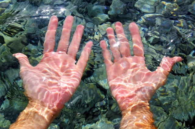 This knowledge will change the way you look at your water-wrinkled fingers