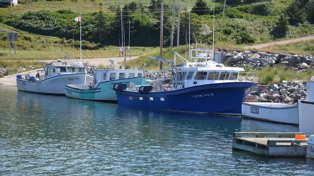  Nova Scotia is lifting two moratoriums, including the temporary moratorium on all new licences for fish buyers and processors implemented in 2019.