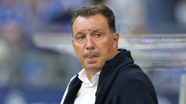 Acht Monate nach dem Aus auf Schalke hat Marc Wilmots (56) wieder einen Job.