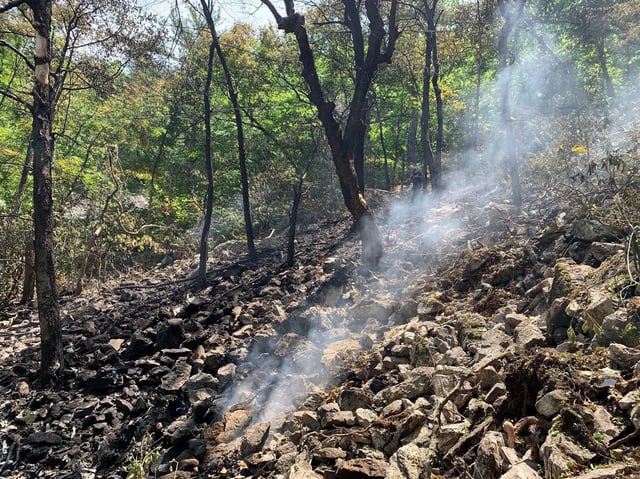 Unresponsive jet which crashed after flying over Washington DC had dozens of unresolved maintenance issues, NTSB report says