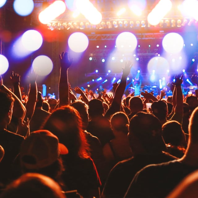 a crowd shot at a concert
