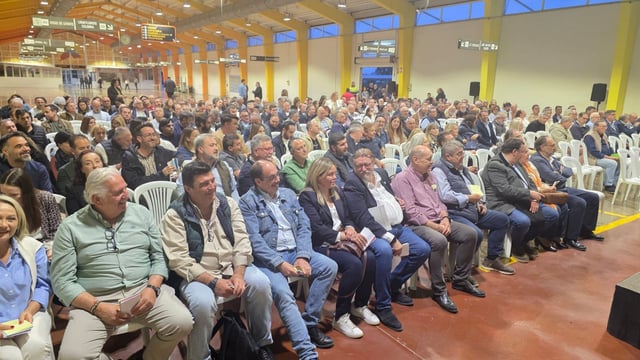 Reunión del Congreso Fallero de València.