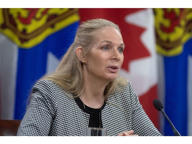  Janice Zinck, executive director in geosciences and mines with the Department of Natural Resources, answers questions from reporters about the province’s critical minerals strategy at One Government Place on Wednesday.