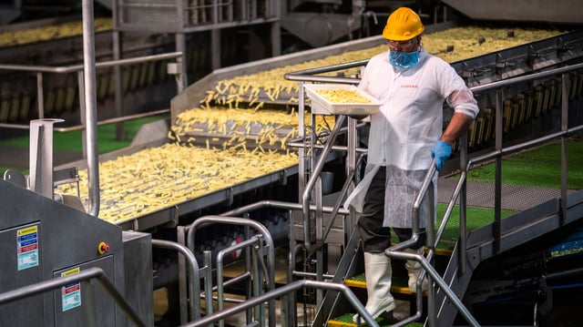 Un employé prélève des frites pour un contrôle qualité dans l’usine McCain de Matougues (Marne), en mai 2019.