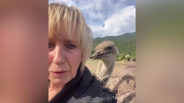 Universal Ostrich co-owner Karen Espersen posted a plea on Facebook for supporters to come 'surround' her farm in an effort to stop her birds from being culled.