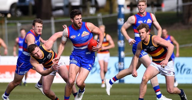 The Western Bulldogs clash with the Adelaide Crows has been moved to Marvel Stadium. File picture