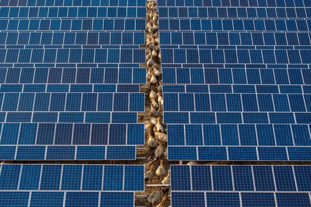 Renewable and nuclear energy are helping China lower emissions despite rising power demand