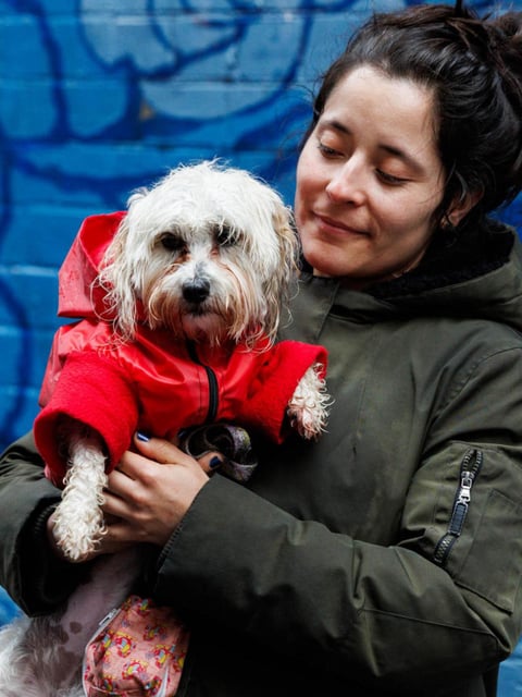 A majority of pet owners would prefer to spend time with their fluffy friends when stressed rather than their partners or friends, according to new research. NewsWire / David Swift