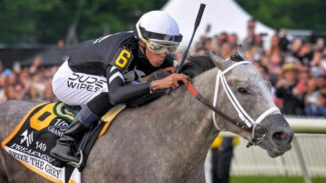 Seize the Grey ridden by Jaime Torres breaks into the final stretch ahead of the pack to seize the 149th running of the Preakness Stakes at Pimlico Race Course. (Karl Merton Ferron/Staff)