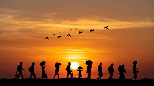 migration