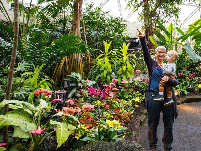 Victoria Day is a federal stat holiday but there are lots of places open, including the Bloedel Conservatory in Vancouver.