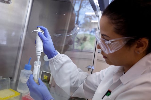 Talita de Lima Freitas, federal agricultural inspector, works on a sample to test for avian influenza virus at the Reference Laboratory of the World Organization for Animal Health in Campinas, Brazil April 25, 2023. REUTERS/Amanda Perobelli/File Photo