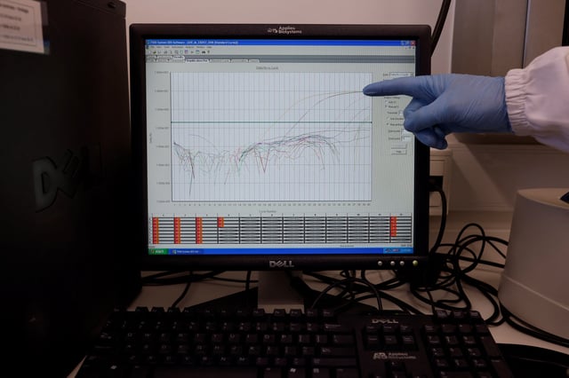 An employee points to a screen showing RT-qPCR results for detection of RNA from influenza virus at the Reference Laboratory of the World Organization for Animal Health in Campinas, Brazil April 25, 2023. REUTERS/Amanda Perobelli/File Photo