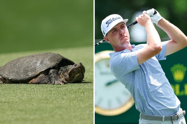 CHARLOTTE, NORTH CAROLINA - MAY 15: A common snapping turtle sits on the 15th hole fairway during the first round of the PGA Championship at Quail Hollow Country Club on May 15, 2025 in Charlotte, North Carolina. (Photo by Alex Slitz/Getty Images)