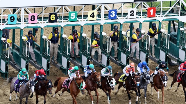 Following severe storms, Preakness Day at Pimlico approaches with improved weather expected.
Emilee Chinn/Getty Images/AFP (Photo by Emilee Chinn / GETTY IMAGES NORTH AMERICA / Getty Images via AFP)