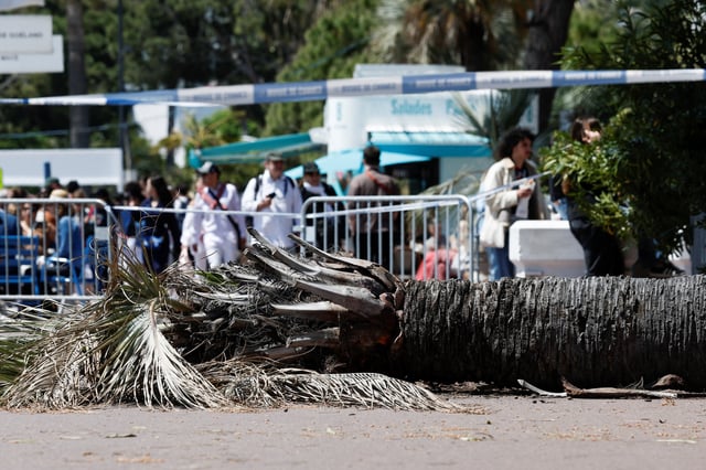 View of a palm tree that fell, injuring a passerby on the Boulevard de la Croisette during the 78th Cannes Film Festival in Cannes, France, May 17, 2025. REUTERS/Benoit Tessier