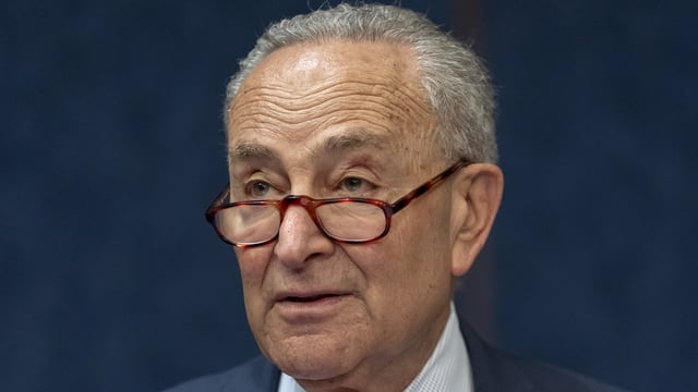 DOGE responsible for Brooklyn Bridge tragedy? Chuck Schumer's bizarre claim (AP Photo/Mark Schiefelbein)