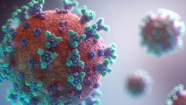 New COVID-19 cases are attributable to declining immunity among the population, along with the new mutation in the virus.
