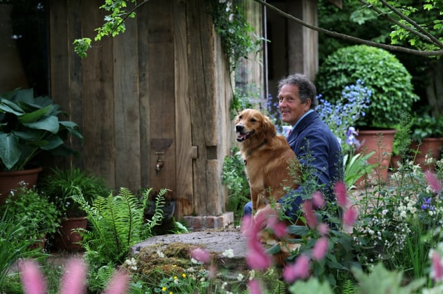 Dog-friendly gardens need a lawn for dogs to play on, and lie down on in the cool shade