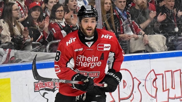 Alexandre Grenier (Nr.82), Kölner Haie