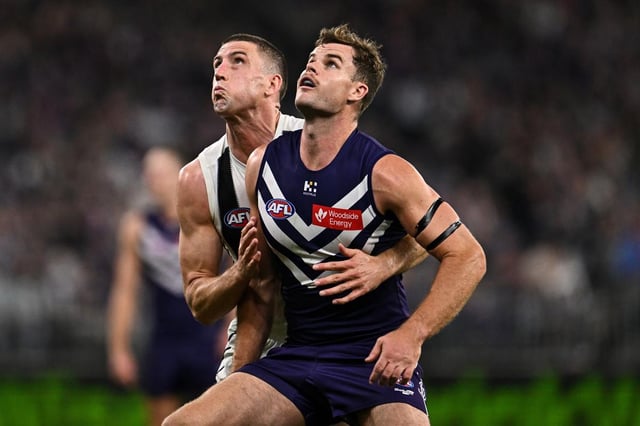 Sean Darcy is on track to return.