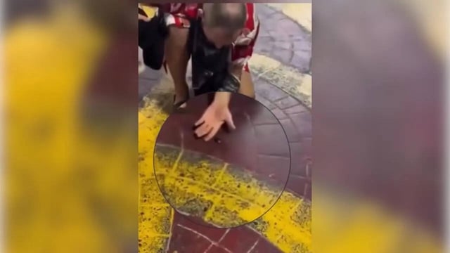 Woman Flicks Cockroach Off Man's Back, Only To Discover It Was His Pet