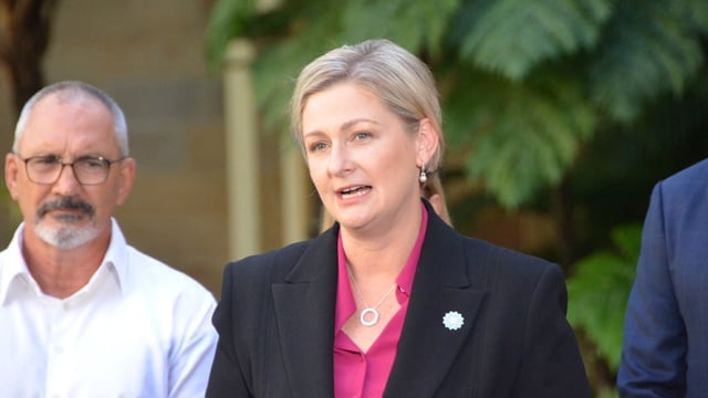 Minister for Child Safety Amanda Camm. (AAP Image/Fraser Barton)