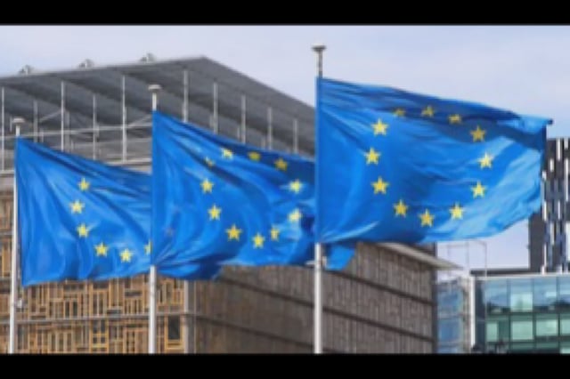 European Union flags (Photo:IANS)