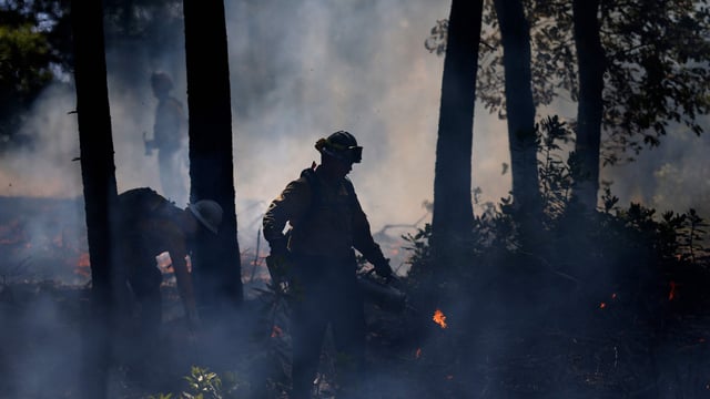 A firefighter uses a drip torch to ignite a controlled burn at the Pacific Union College Forest in Angwin, California.