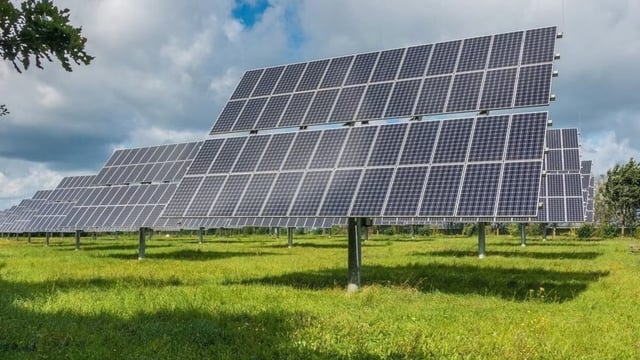 NTPC Green Energy Q4 results: Net profit zooms 188% to Rs 233 crore; stock up 5%