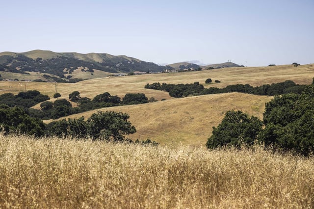 Nyland Property is seen with dry brush on hills during the California Central Coast Prescribed Fire Training Exchange (Cal-TREX) burn in San Juan Bautista (San Benito County) on June 4, 2023.