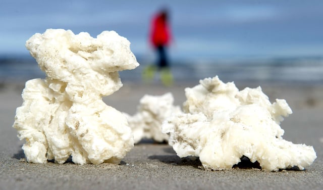 Immer häufiger werden weiße Klumpen an Nordsee-Strände gespült. Die Behörden geben nun bekannt, dass es sich um Paraffin handelt.