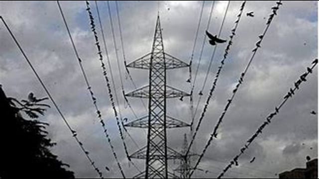The deceased were erecting for the Kashidas Baba pooja in Narwar village came into contact with an overhead high-tension power line (For representation only)