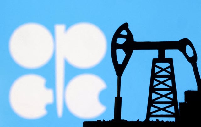 OPEC logo is seen in this illustration taken, October 8, 2023. REUTERS/Dado Ruvic/File Photo