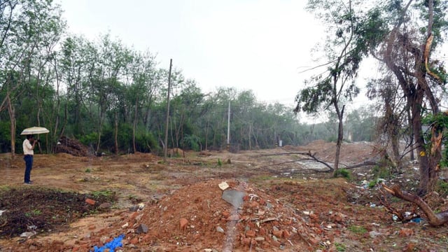 The south ridge, where tree felling was reported last year. (ANI File)