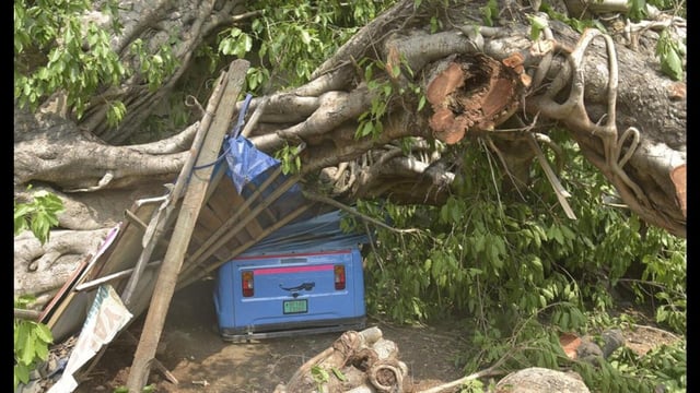 An auto was crushed after a tree fell on it during rain in Ghaziabad district on May 21 night. (Agency)