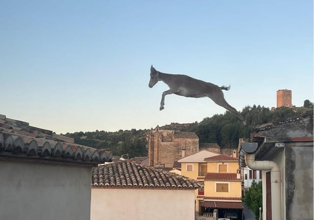 Imagen de una &#39;cabra voladora&#39; saltando por los tejados en la localidad castellonense de Jérica