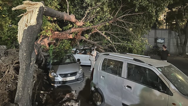 Tree fallen over a car after the storm on May 21, 2025