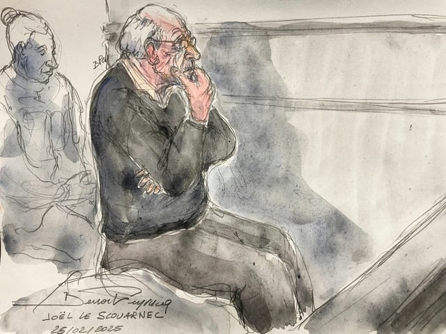 Wegen des Missbrauchs von 299 zumeist minderjährigen Patienten durch einen früheren Chirurgen in Frankreich hat die Staatsanwaltschaft die Höchststrafe von 20 Jahren Haft für den 74-Jährigen gefordert.