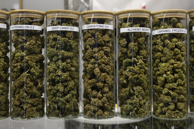 Cannabis buds with high CBD and low THC content stand on display in glass jars plant at an exhibitor&#39;s stand at the Mary Jane Berlin cannabis and hemp trade fair on June 14, 2024 in Berlin, Germany.