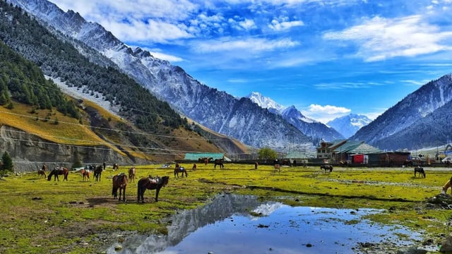 Pahalgam Terror Attack Impact: Kashmir Sees A Massive Drop In Airfare; Flights To Srinagar Reduced To Half. (Image: Canva)