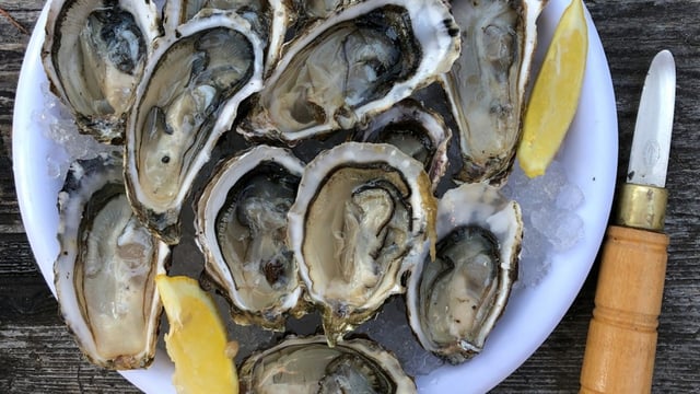 Frozen, half-shell oysters from South Korea have been recalled due to potential norovirus contamination.