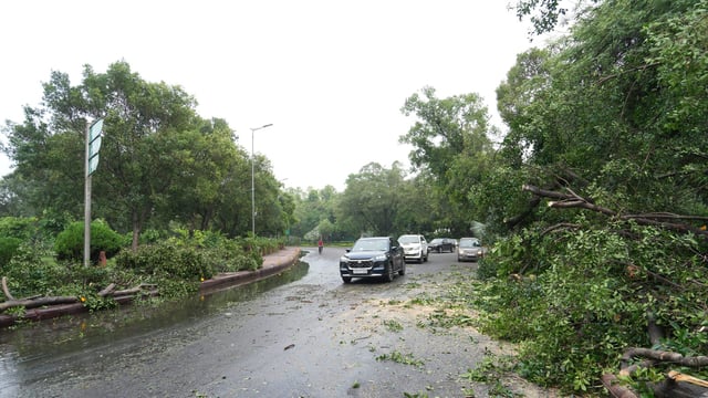 Trees were uprooted in several areas in Delhi and the surrounding areas due to rain and strong winds.