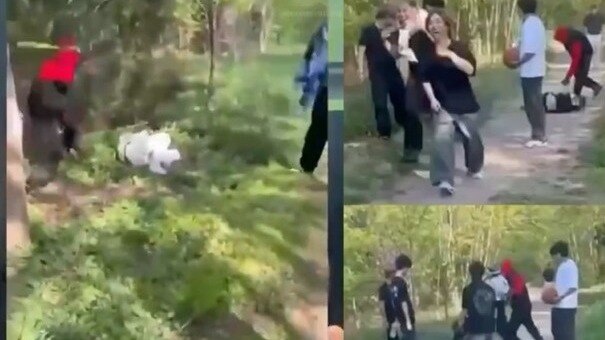 Teens drag 2 girls into woods, beat them with bat, shave head, steal shoes in New York